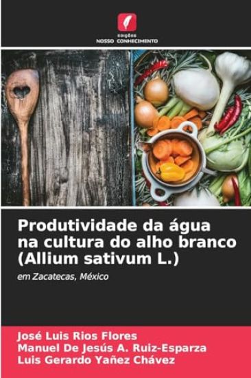 Produtividade da água na cultura do alho branco (Allium sativum L.)