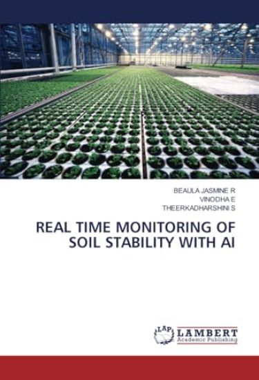 Real Time Monitoring of Soil Stability with AI