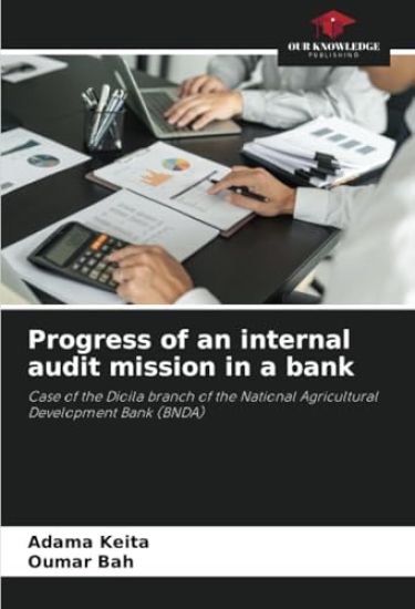 Progress of an internal audit mission in a bank