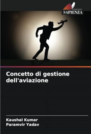 Concetto di gestione dell'aviazione
