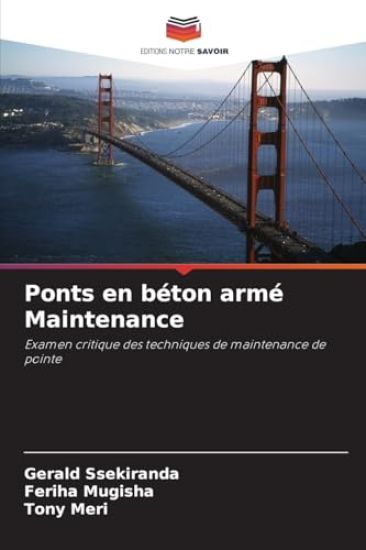 Ponts en béton armé Maintenance