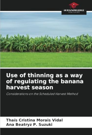 Use of thinning as a way of regulating the banana harvest season