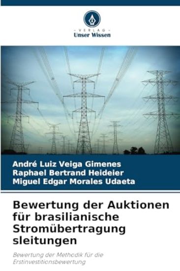 Bewertung der Auktionen für brasilianische Stromübertragung sleitungen