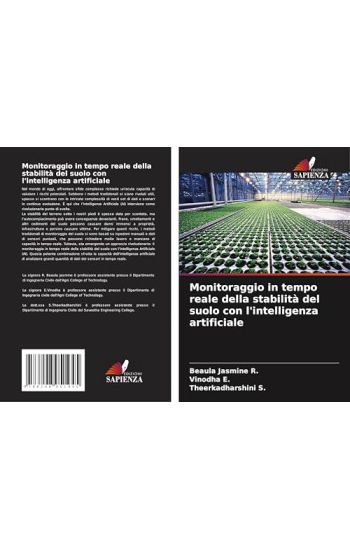 Monitoraggio in tempo reale della stabilità del suolo con l'intelligenza artificiale