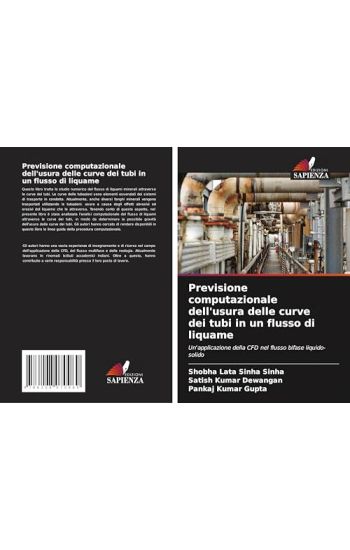 Previsione computazionale dell'usura delle curve dei tubi in un flusso di liquame