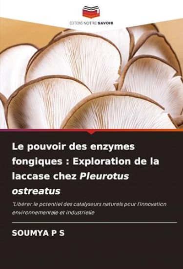 Le pouvoir des enzymes fongiques