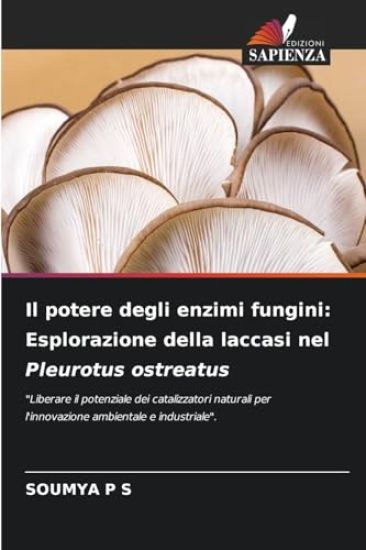 Il potere degli enzimi fungini