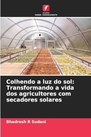 Colhendo a luz do sol