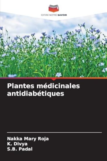Plantes médicinales antidiabétiques