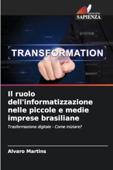 Il ruolo dell'informatizzazione nelle piccole e medie imprese brasiliane