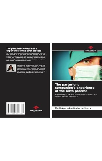 The parturient companion's experience of the birth process