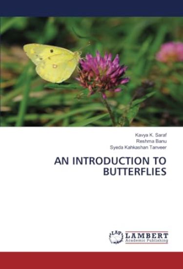 An Introduction to Butterflies