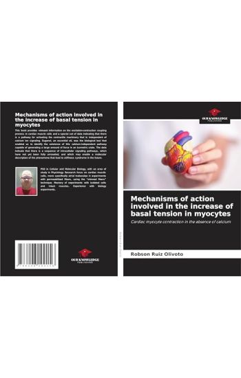 Mechanisms of action involved in the increase of basal tension in myocytes