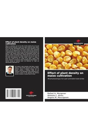 Effect of plant density on maize cultivation