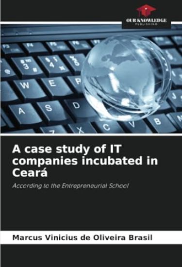 A case study of IT companies incubated in Ceará