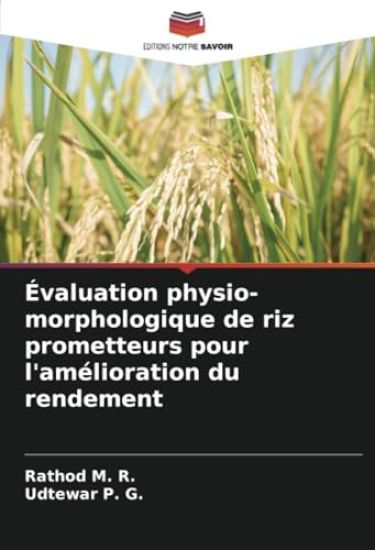 Évaluation physio-morphologique de riz prometteurs pour l'amélioration du rendement