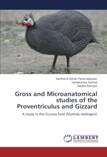 Gross and Microanatomical studies of the Proventriculus and Gizzard
