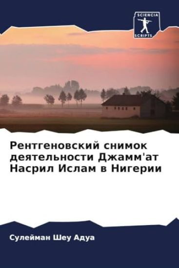 Rentgenowskij snimok deqtel'nosti Dzhamm'at Nasril Islam w Nigerii
