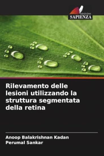 Rilevamento delle lesioni utilizzando la struttura segmentata della retina