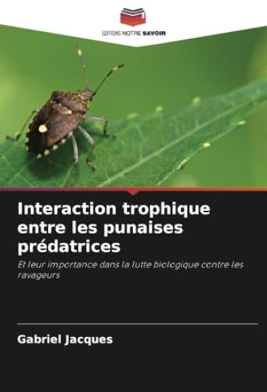 Interaction trophique entre les punaises prédatrices
