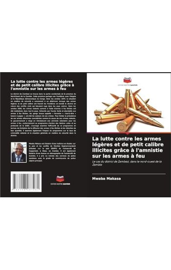 La lutte contre les armes légères et de petit calibre illicites grâce à l'amnistie sur les armes à feu