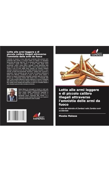 Lotta alle armi leggere e di piccolo calibro illegali attraverso l'amnistia delle armi da fuoco