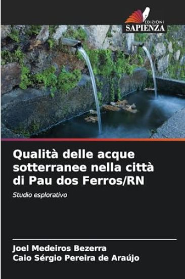 Qualità delle acque sotterranee nella città di Pau dos Ferros/RN