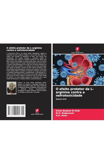 O efeito protetor da L-arginina contra a nefrotoxicidade