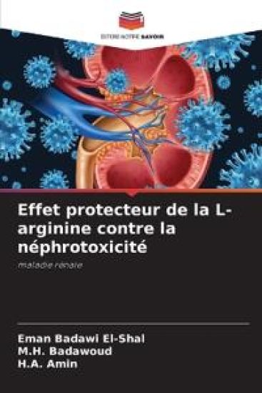 Effet protecteur de la L-arginine contre la néphrotoxicité