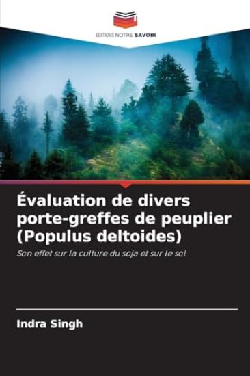 Évaluation de divers porte-greffes de peuplier (Populus deltoides)