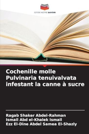 Cochenille molle Pulvinaria tenuivalvata infestant la canne à sucre