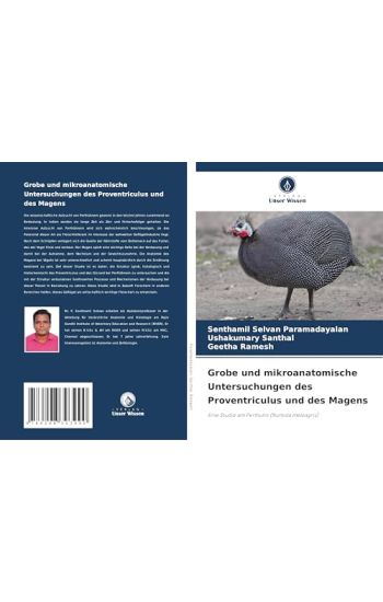 Grobe und mikroanatomische Untersuchungen des Proventriculus und des Magens