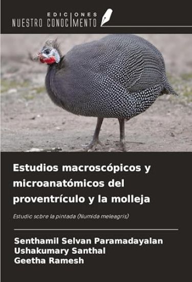 Estudios macroscópicos y microanatómicos del proventrículo y la molleja