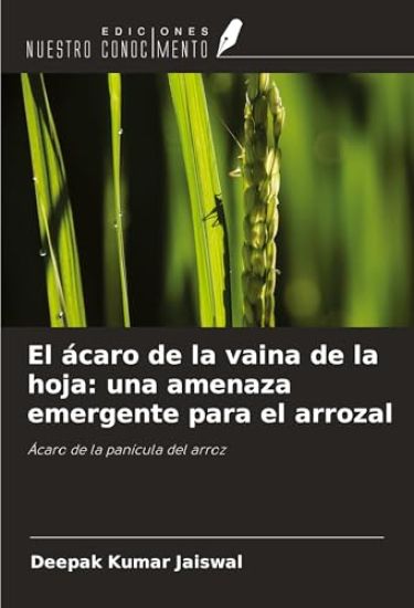 El ácaro de la vaina de la hoja: una amenaza emergente para el arrozal