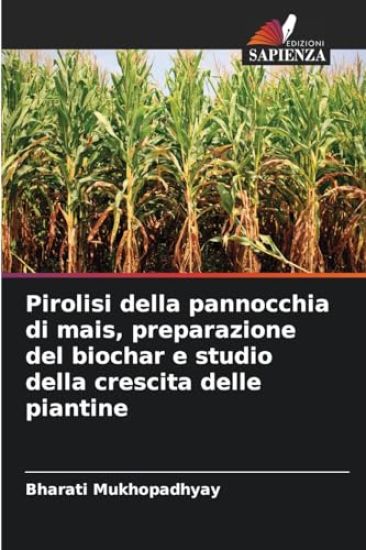 Pirolisi della pannocchia di mais, preparazione del biochar e studio della crescita delle piantine