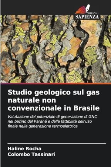 Studio geologico sul gas naturale non convenzionale in Brasile