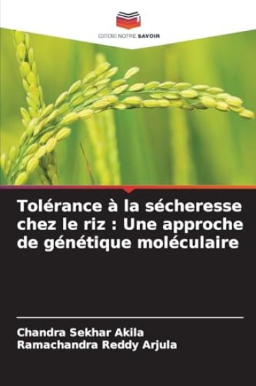 Tolérance à la sécheresse chez le riz