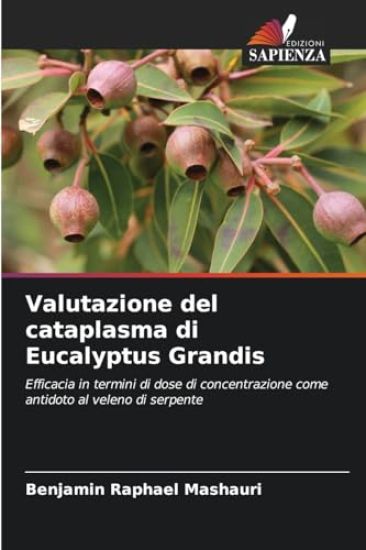 Valutazione del cataplasma di Eucalyptus Grandis