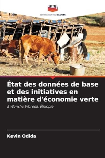 État des données de base et des initiatives en matière d'économie verte