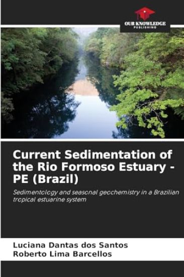 Current Sedimentation of the Rio Formoso Estuary - PE (Brazil)