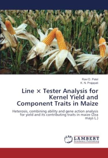 Line × Tester Analysis for Kernel Yield and Component Traits in Maize