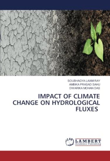 Impact of Climate Change on Hydrological Fluxes