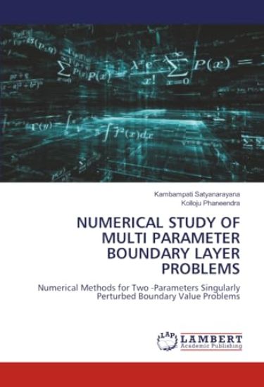 Numerical Study of Multi Parameter Boundary Layer Problems