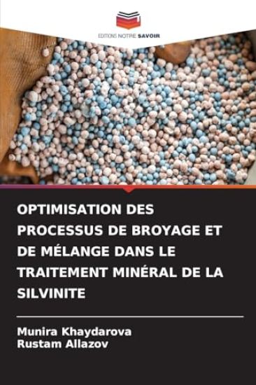 Optimisation Des Processus de Broyage Et de Mélange Dans Le Traitement Minéral de la Silvinite