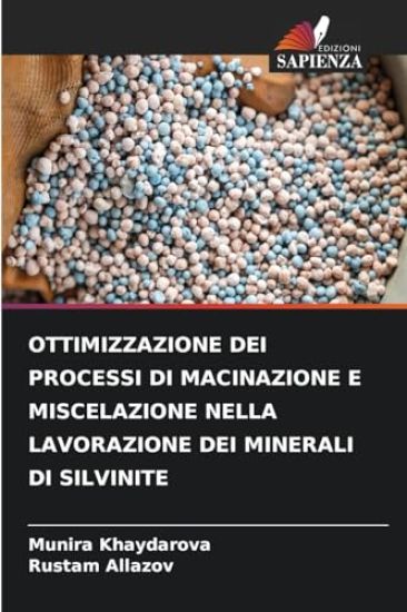 Ottimizzazione Dei Processi Di Macinazione E Miscelazione Nella Lavorazione Dei Minerali Di Silvinite