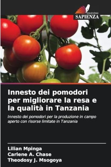 Innesto dei pomodori per migliorare la resa e la qualità in Tanzania