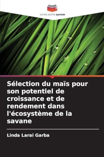 Sélection du maïs pour son potentiel de croissance et de rendement dans l'écosystème de la savane