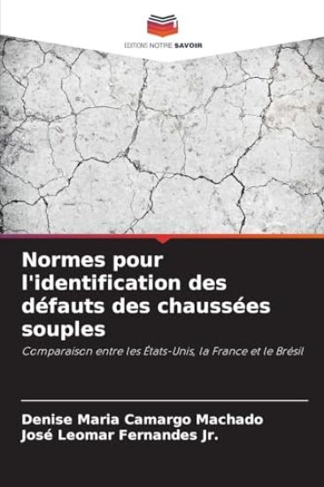 Normes pour l'identification des défauts des chaussées souples