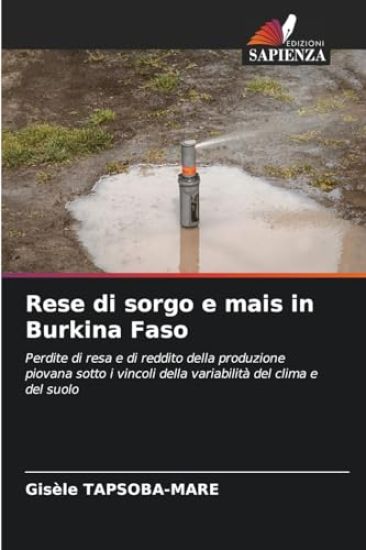 Rese di sorgo e mais in Burkina Faso