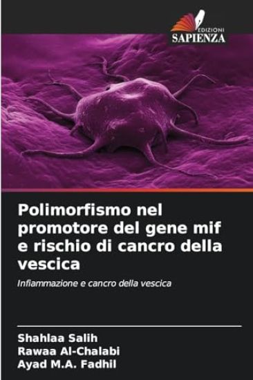 Polimorfismo nel promotore del gene mif e rischio di cancro della vescica